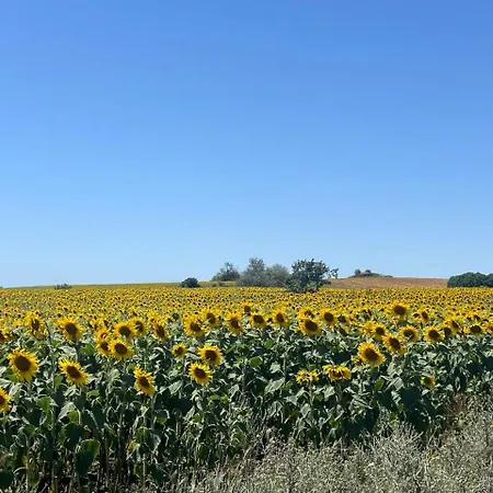 Apartamento Deluxe With Sea View Vineyard Aheloy