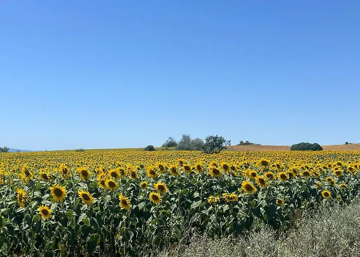 Apartamento Deluxe With Sea View Vineyard Aheloy
