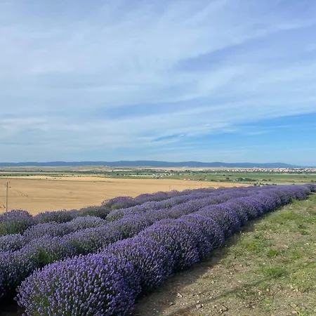 Апартамент Deluxe With Sea View Vineyard Ахелой