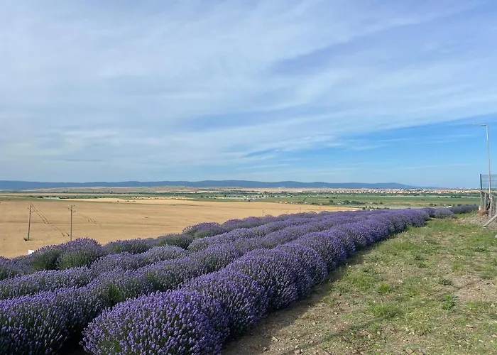 Apartamento Deluxe With Sea View Vineyard Aheloy